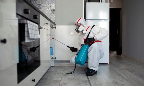 fumigacion para el control de plagas